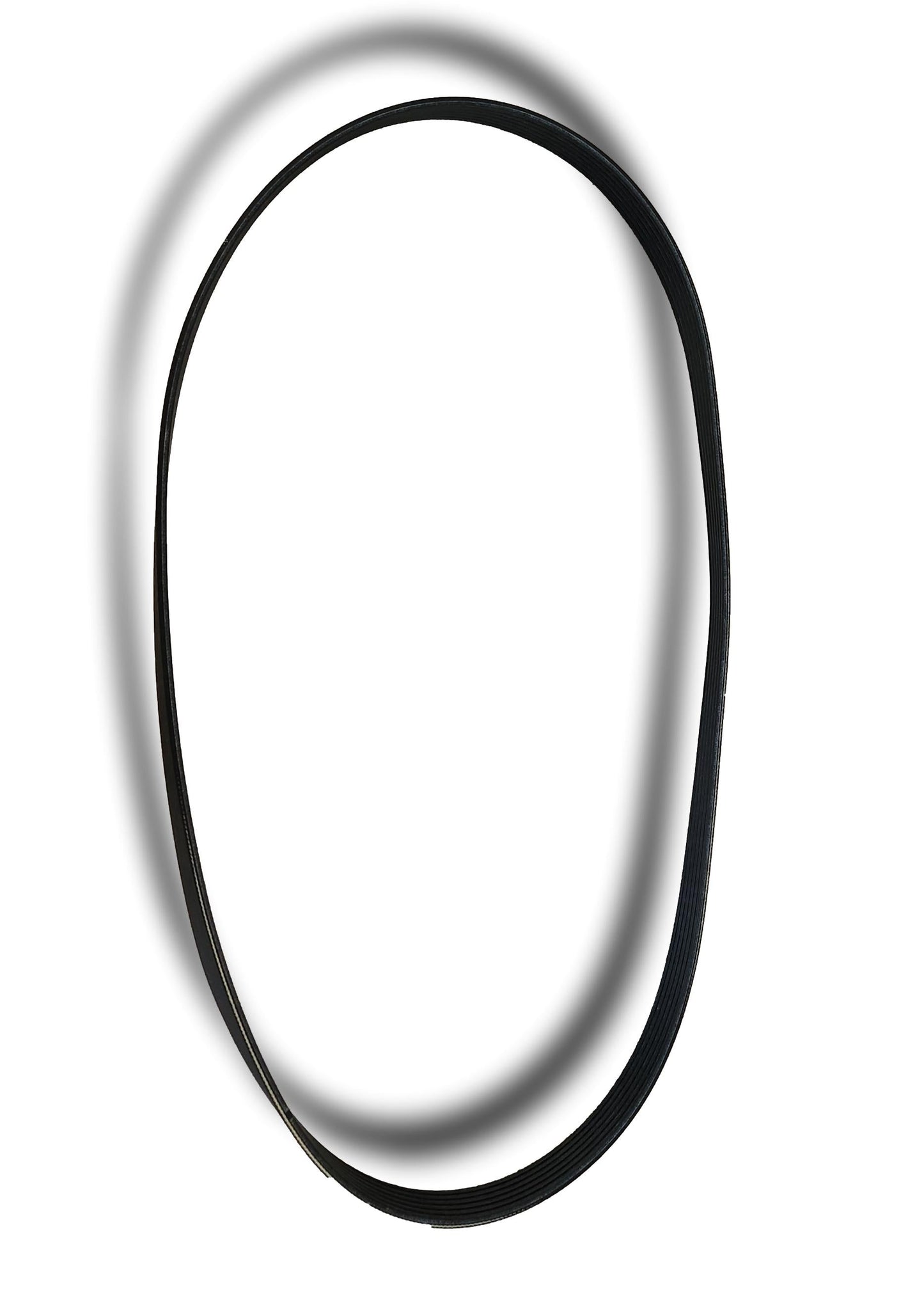 Nissan Drive Belt Timing 117209098R
