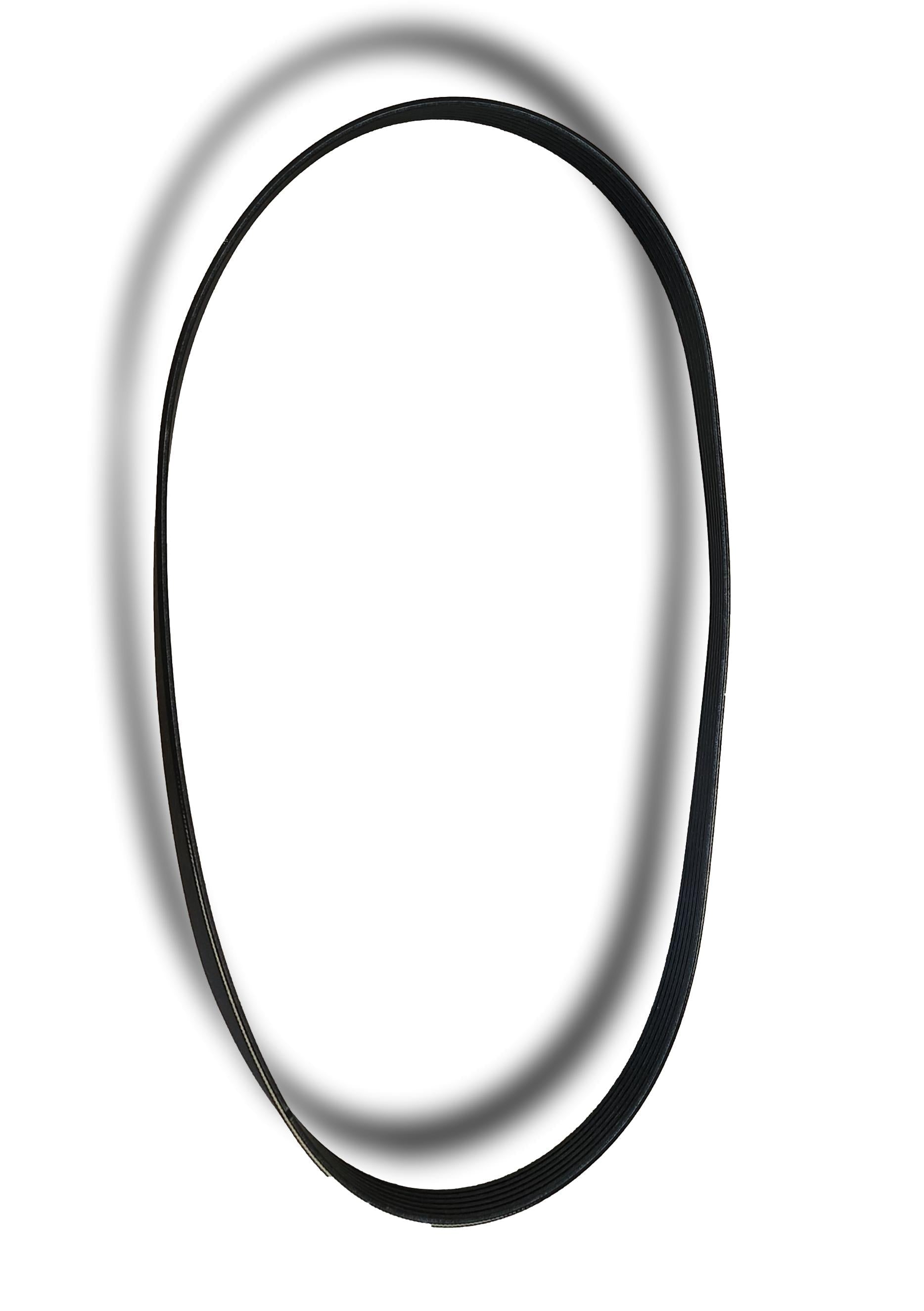 Nissan Drive Belt Timing 117209098R